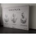 BACKDROP SAHNE ARKASI - 3M 4M