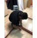 BACKDROP STAND - 3M 6M
