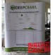 Örümcek Stand Oval 3x2